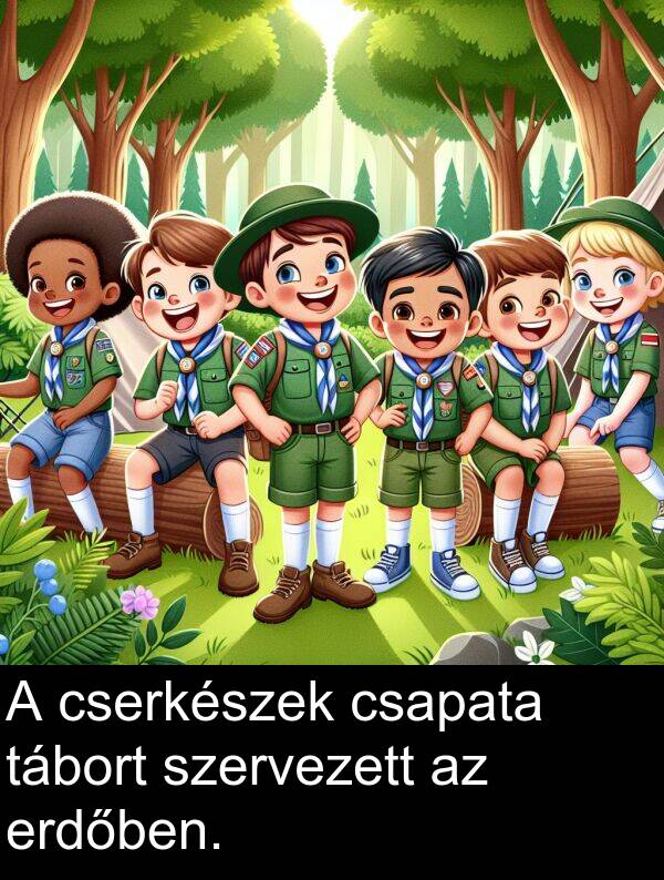 tábort: A cserkészek csapata tábort szervezett az erdőben.