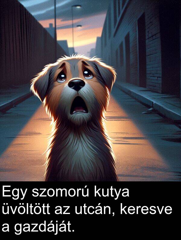 utcán: Egy szomorú kutya üvöltött az utcán, keresve a gazdáját.