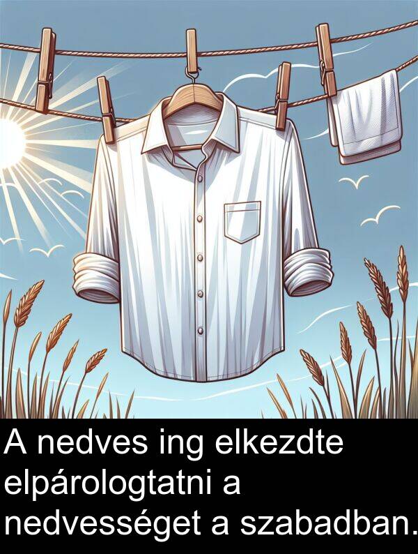 szabadban: A nedves ing elkezdte elpárologtatni a nedvességet a szabadban.