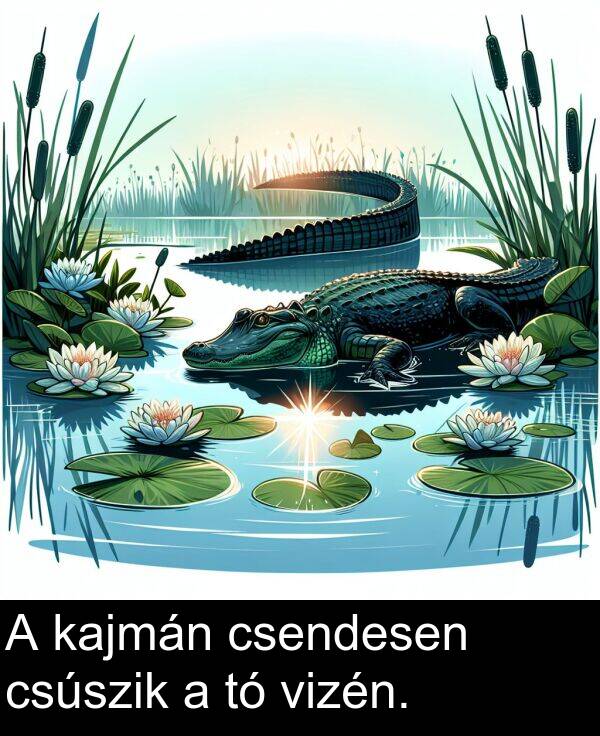 csendesen: A kajmán csendesen csúszik a tó vizén.
