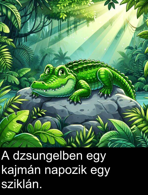 napozik: A dzsungelben egy kajmán napozik egy sziklán.