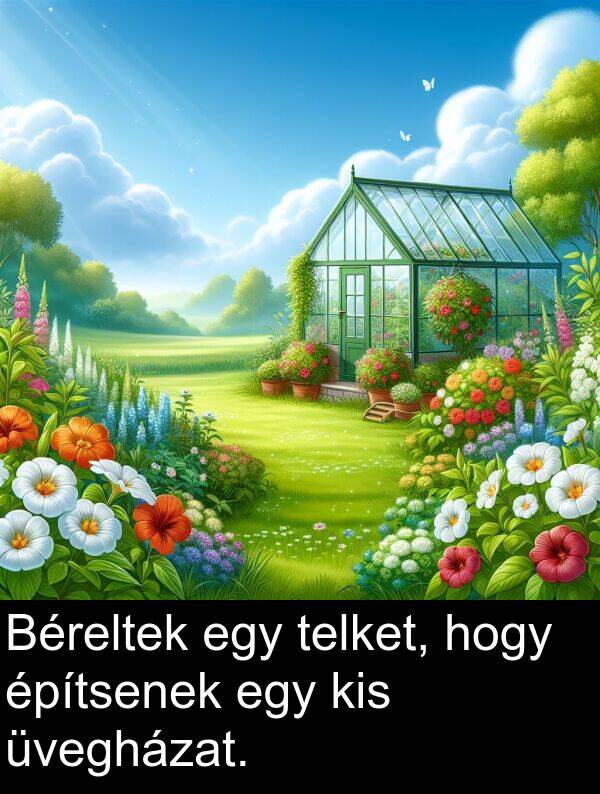 telket: Béreltek egy telket, hogy építsenek egy kis üvegházat.