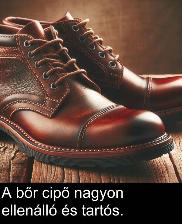 nagyon: A bőr cipő nagyon ellenálló és tartós.