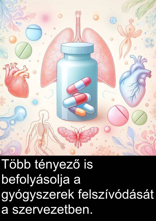 szervezetben: Több tényező is befolyásolja a gyógyszerek felszívódását a szervezetben.