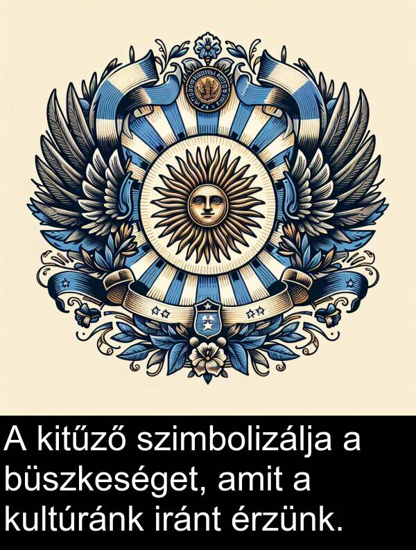 szimbolizálja: A kitűző szimbolizálja a büszkeséget, amit a kultúránk iránt érzünk.