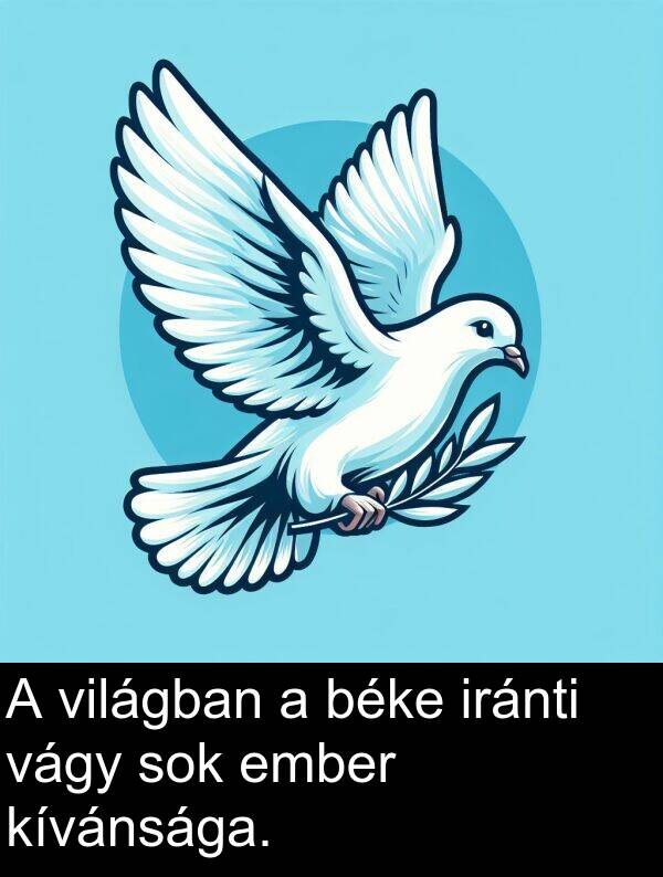 vágy: A világban a béke iránti vágy sok ember kívánsága.