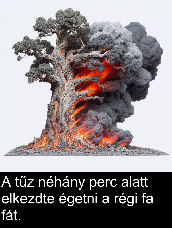 perc: A tűz néhány perc alatt elkezdte égetni a régi fa fát.