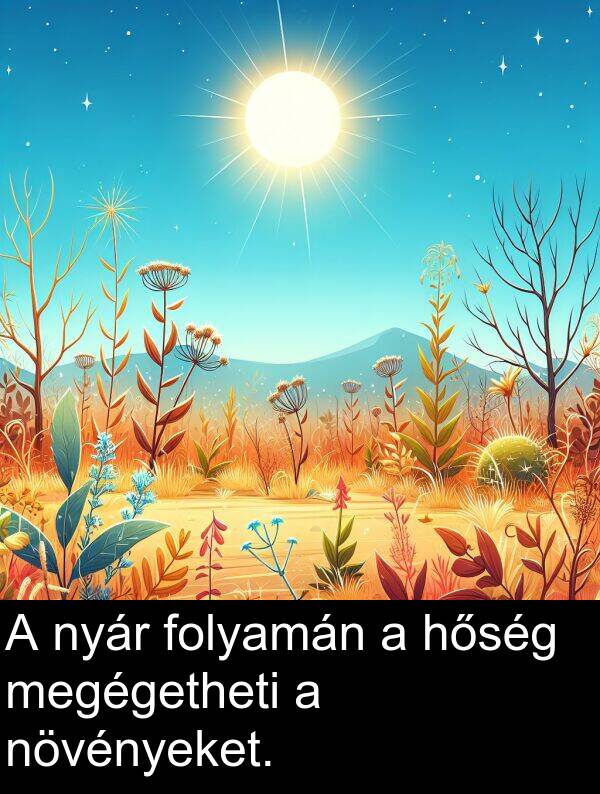 megégetheti: A nyár folyamán a hőség megégetheti a növényeket.