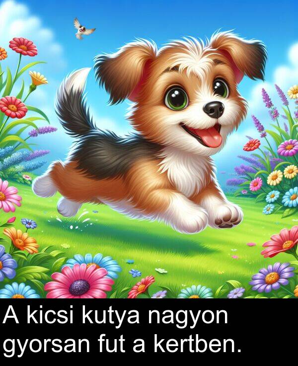 gyorsan: A kicsi kutya nagyon gyorsan fut a kertben.