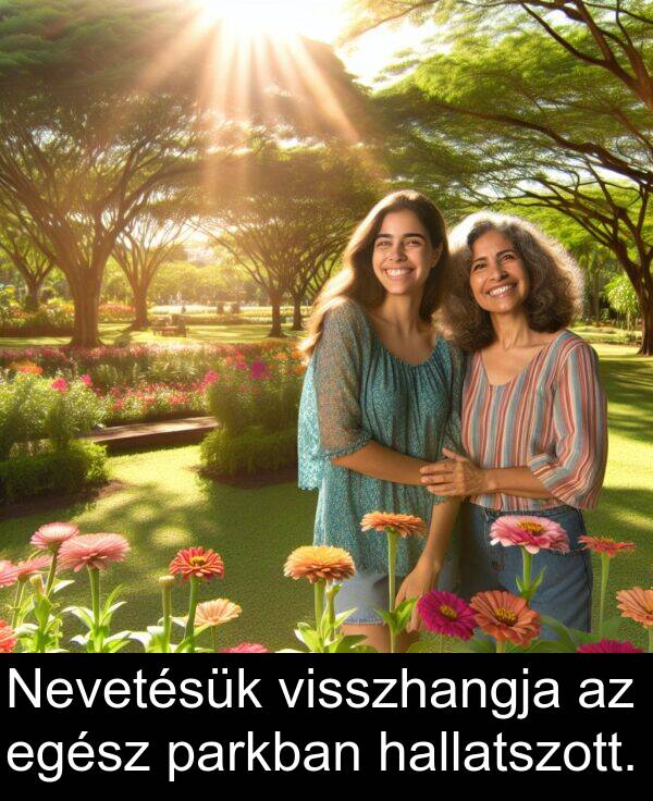 visszhangja: Nevetésük visszhangja az egész parkban hallatszott.