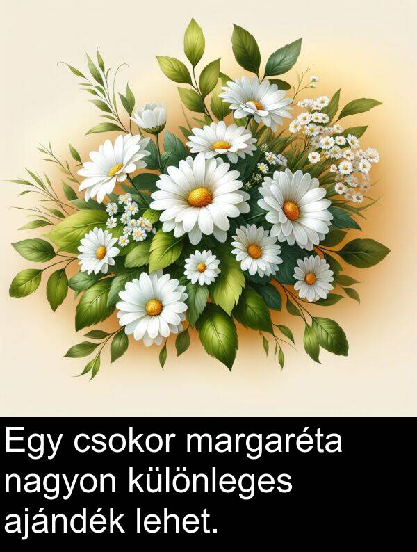 margaréta: Egy csokor margaréta nagyon különleges ajándék lehet.