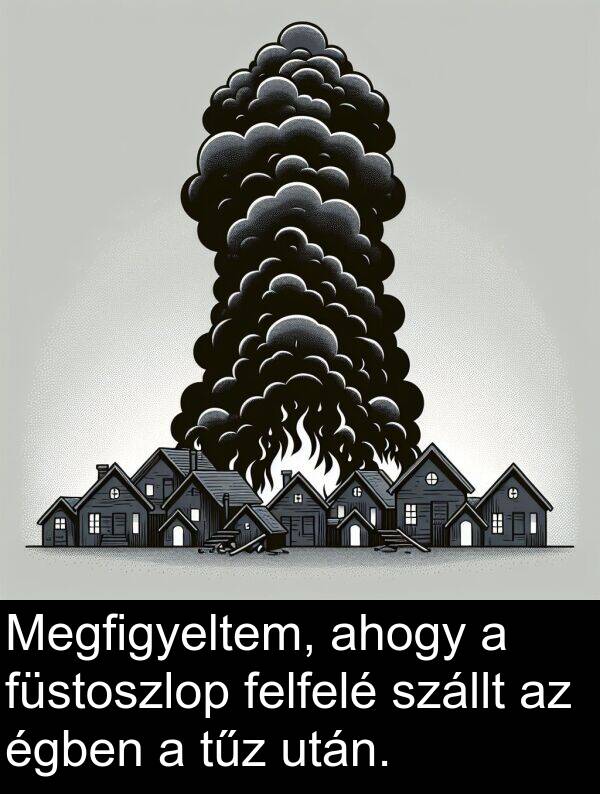 tűz: Megfigyeltem, ahogy a füstoszlop felfelé szállt az égben a tűz után.