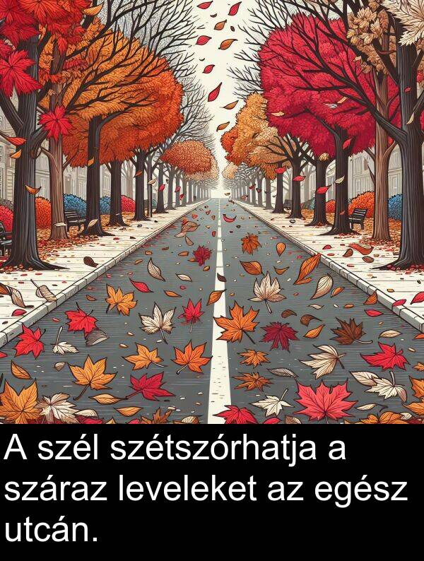 utcán: A szél szétszórhatja a száraz leveleket az egész utcán.