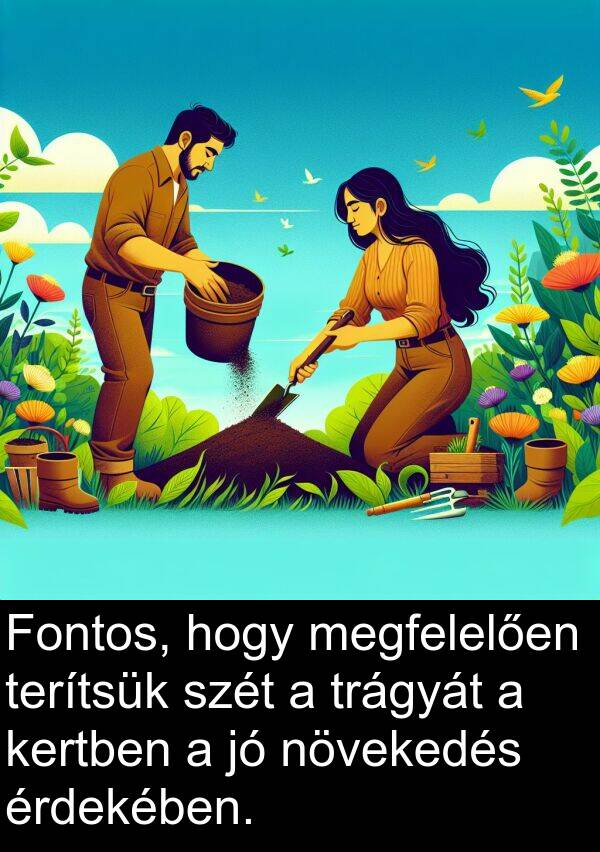 megfelelően: Fontos, hogy megfelelően terítsük szét a trágyát a kertben a jó növekedés érdekében.