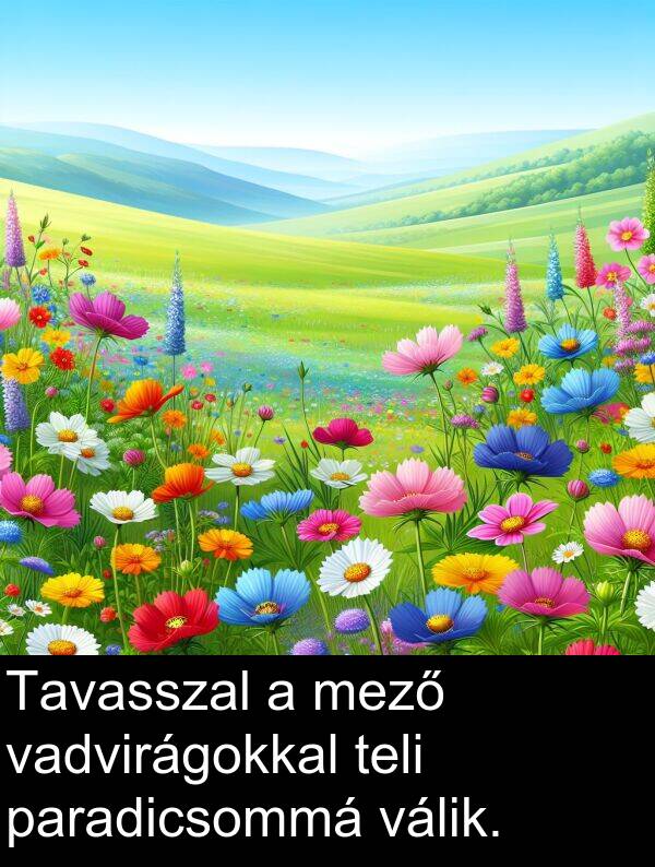 paradicsommá: Tavasszal a mező vadvirágokkal teli paradicsommá válik.