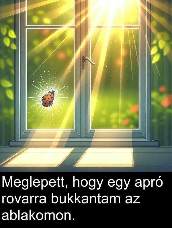 ablakomon: Meglepett, hogy egy apró rovarra bukkantam az ablakomon.