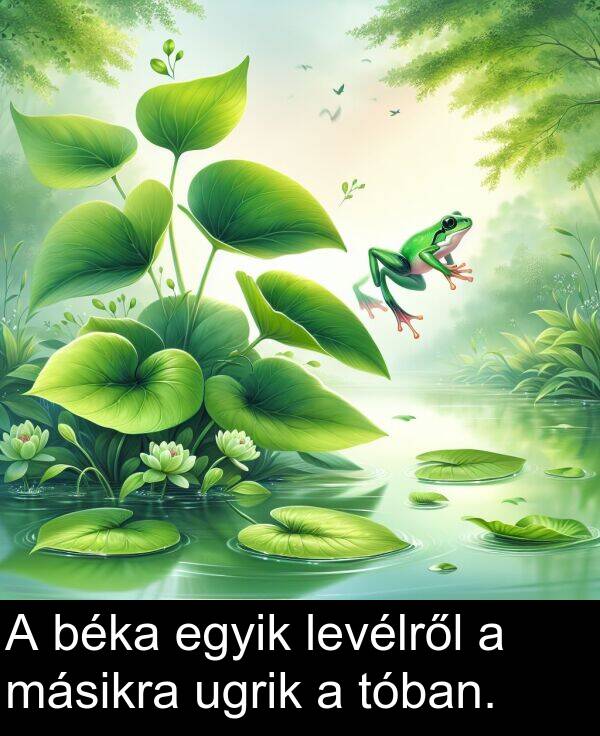 ugrik: A béka egyik levélről a másikra ugrik a tóban.