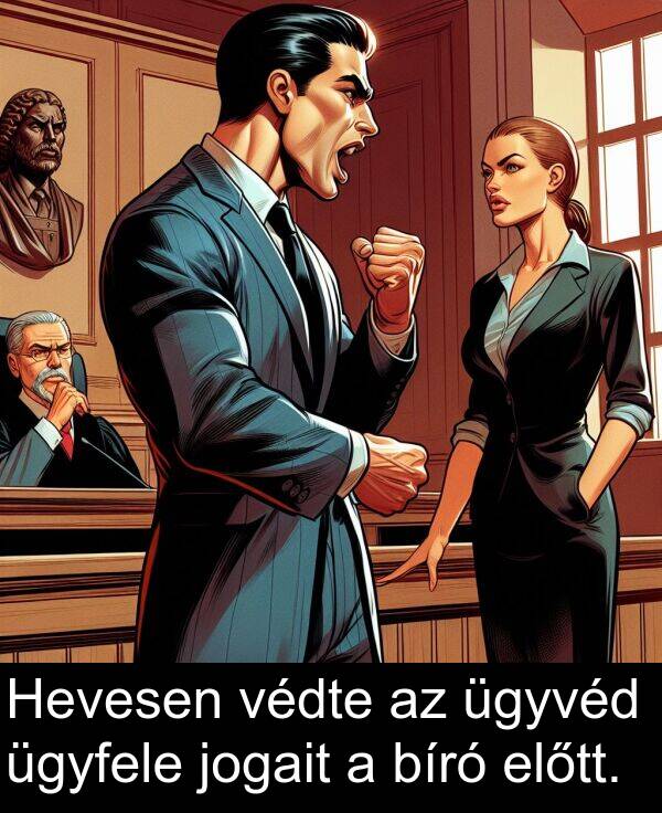 jogait: Hevesen védte az ügyvéd ügyfele jogait a bíró előtt.