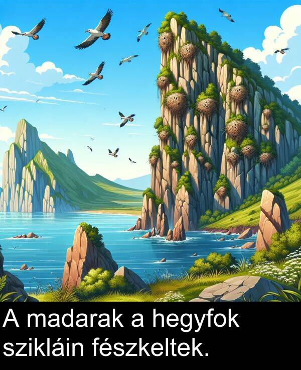 madarak: A madarak a hegyfok szikláin fészkeltek.