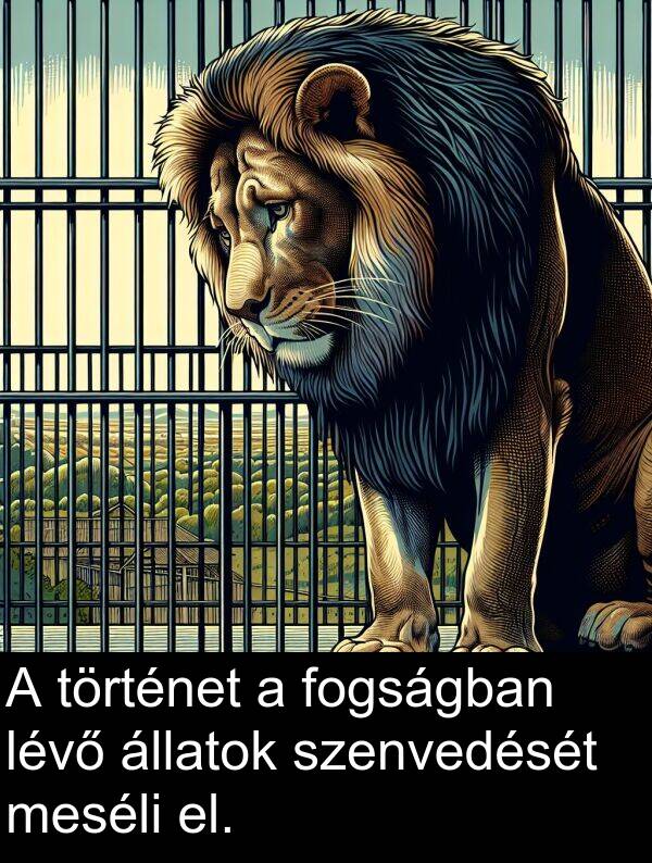 történet: A történet a fogságban lévő állatok szenvedését meséli el.