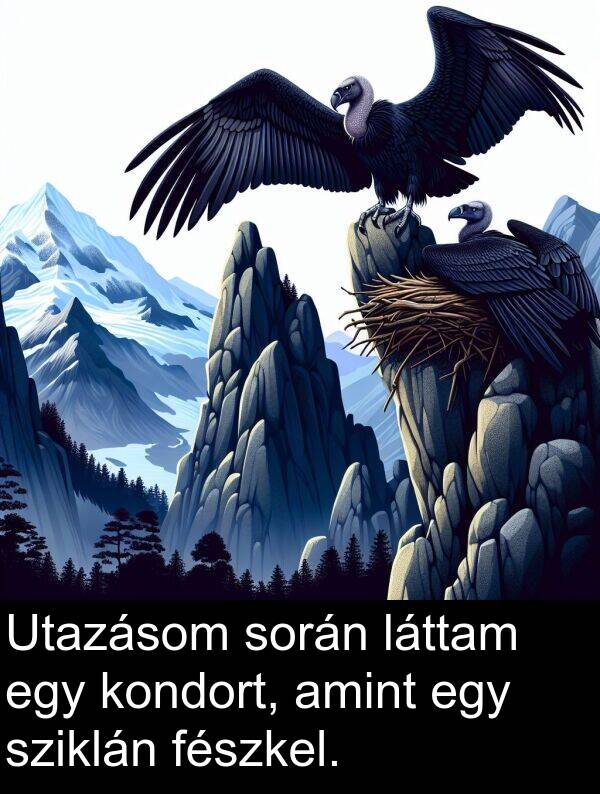 sziklán: Utazásom során láttam egy kondort, amint egy sziklán fészkel.