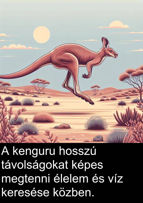 távolságokat: A kenguru hosszú távolságokat képes megtenni élelem és víz keresése közben.