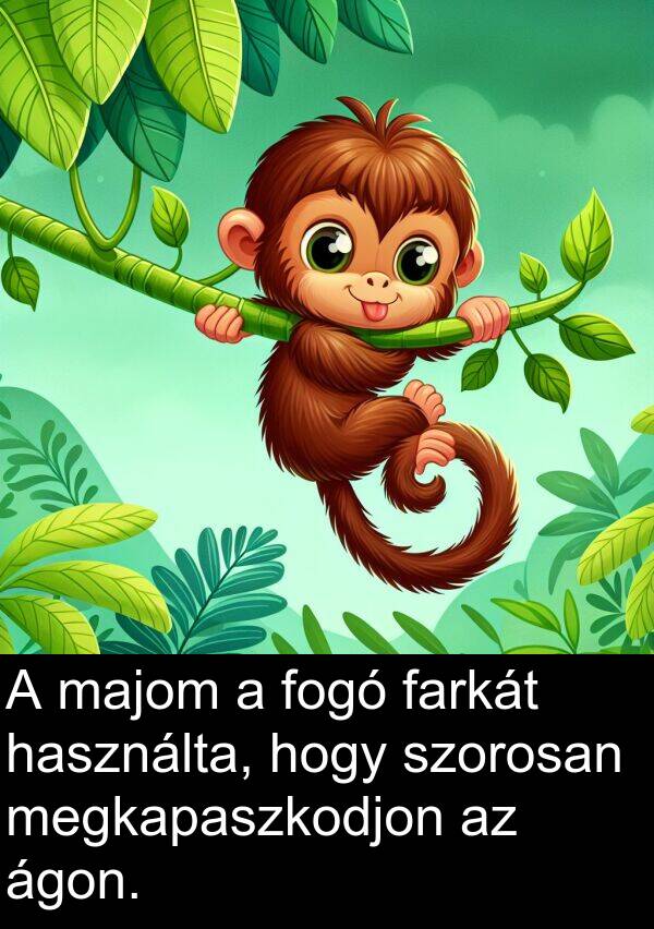 majom: A majom a fogó farkát használta, hogy szorosan megkapaszkodjon az ágon.