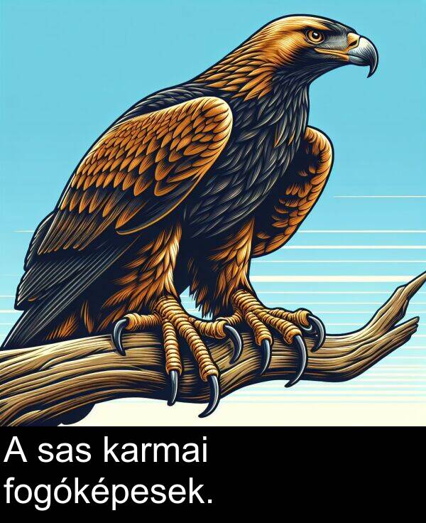 sas: A sas karmai fogóképesek.