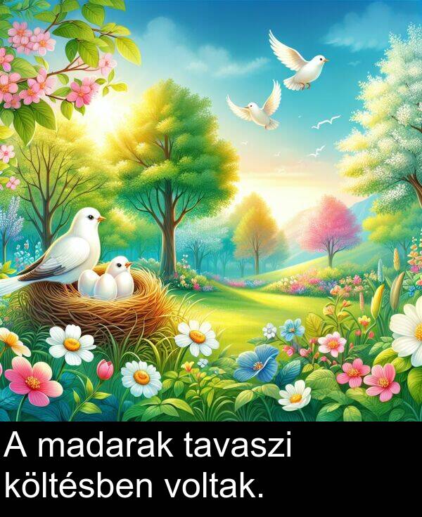 madarak: A madarak tavaszi költésben voltak.