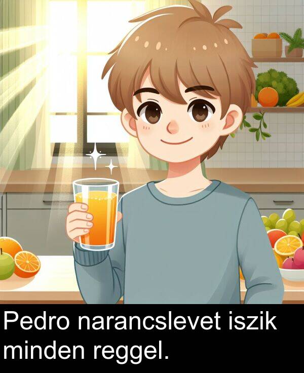 minden: Pedro narancslevet iszik minden reggel.