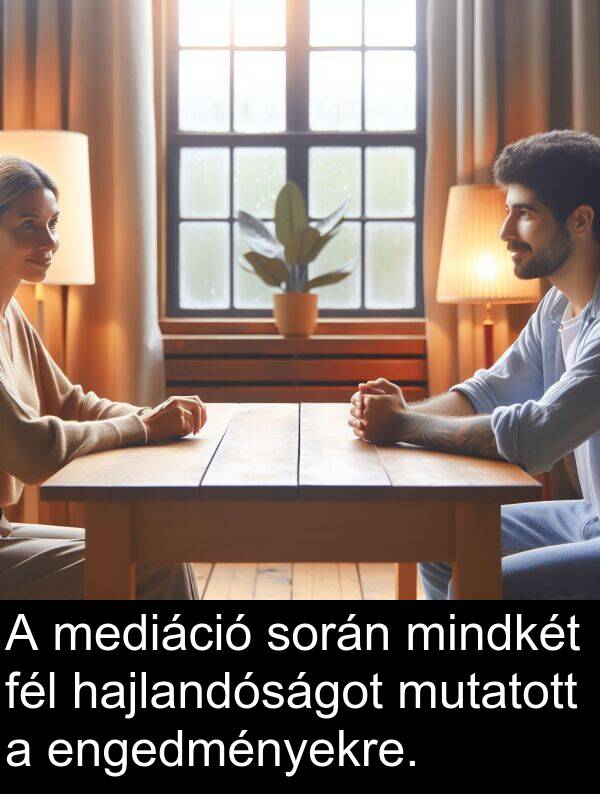 hajlandóságot: A mediáció során mindkét fél hajlandóságot mutatott a engedményekre.
