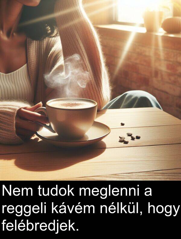tudok: Nem tudok meglenni a reggeli kávém nélkül, hogy felébredjek.