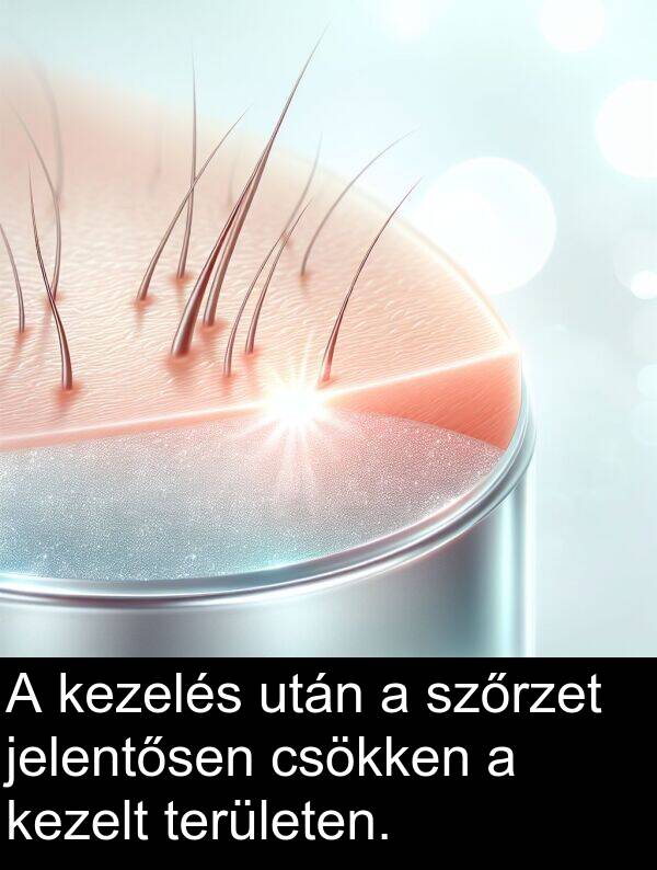 csökken: A kezelés után a szőrzet jelentősen csökken a kezelt területen.