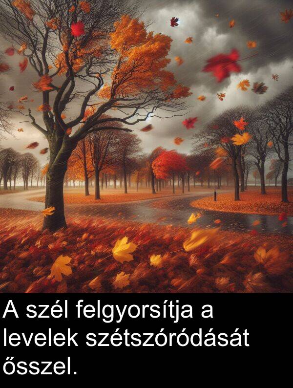 szél: A szél felgyorsítja a levelek szétszóródását ősszel.