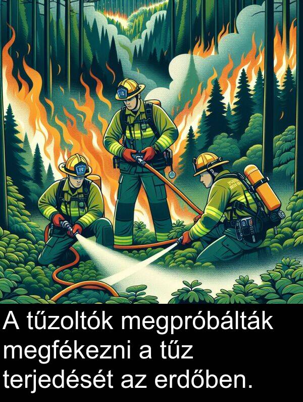 megfékezni: A tűzoltók megpróbálták megfékezni a tűz terjedését az erdőben.