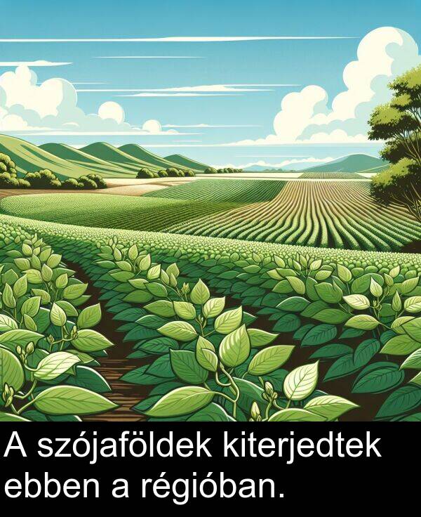 régióban: A szójaföldek kiterjedtek ebben a régióban.