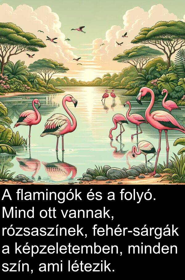 szín: A flamingók és a folyó. Mind ott vannak, rózsaszínek, fehér-sárgák a képzeletemben, minden szín, ami létezik.