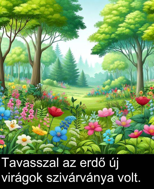 szivárványa: Tavasszal az erdő új virágok szivárványa volt.