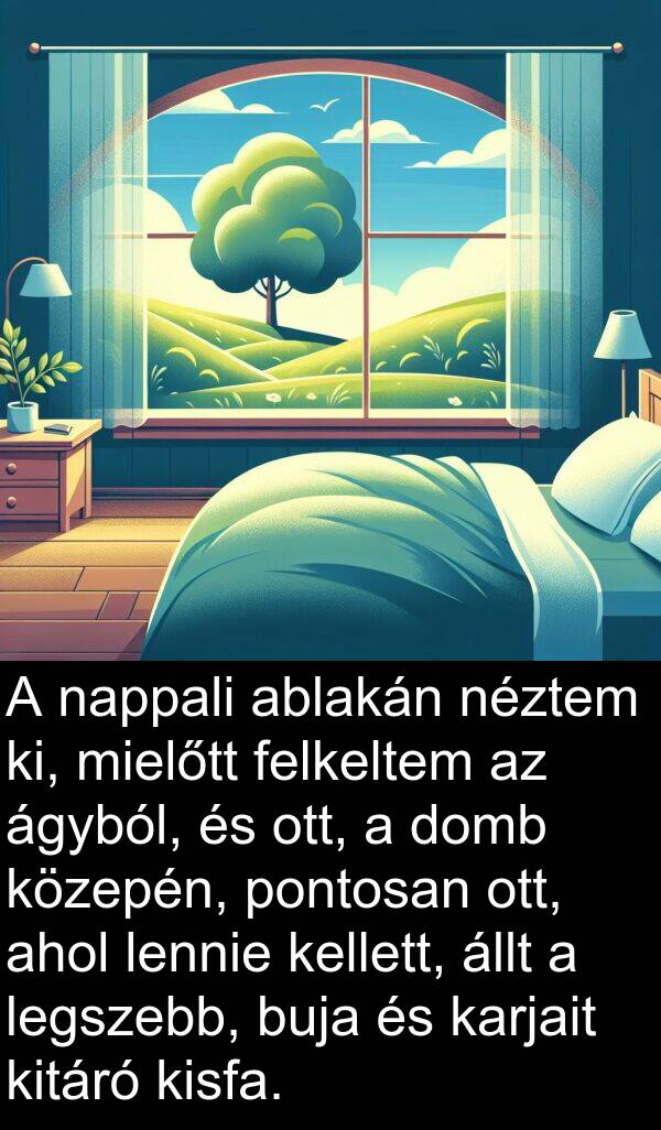 ablakán: A nappali ablakán néztem ki, mielőtt felkeltem az ágyból, és ott, a domb közepén, pontosan ott, ahol lennie kellett, állt a legszebb, buja és karjait kitáró kisfa.