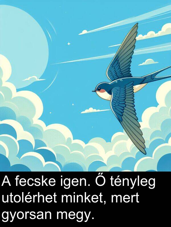mert: A fecske igen. Ő tényleg utolérhet minket, mert gyorsan megy.
