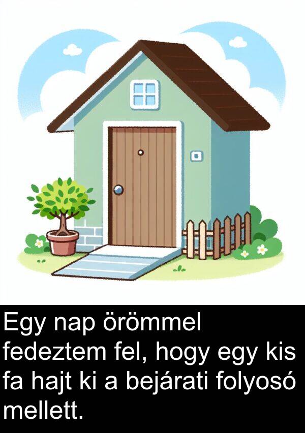 bejárati: Egy nap örömmel fedeztem fel, hogy egy kis fa hajt ki a bejárati folyosó mellett.