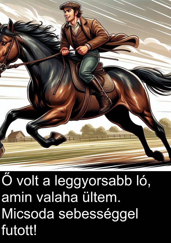 sebességgel: Ő volt a leggyorsabb ló, amin valaha ültem. Micsoda sebességgel futott!