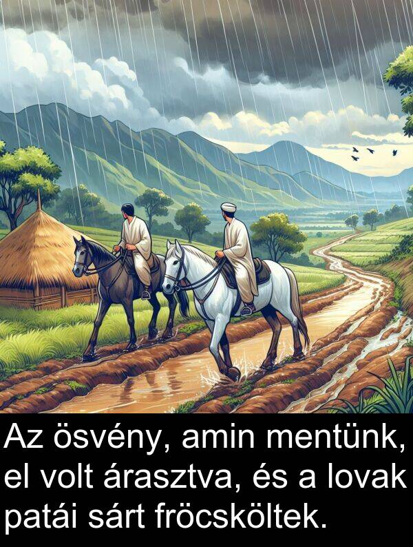 sárt: Az ösvény, amin mentünk, el volt árasztva, és a lovak patái sárt fröcsköltek.