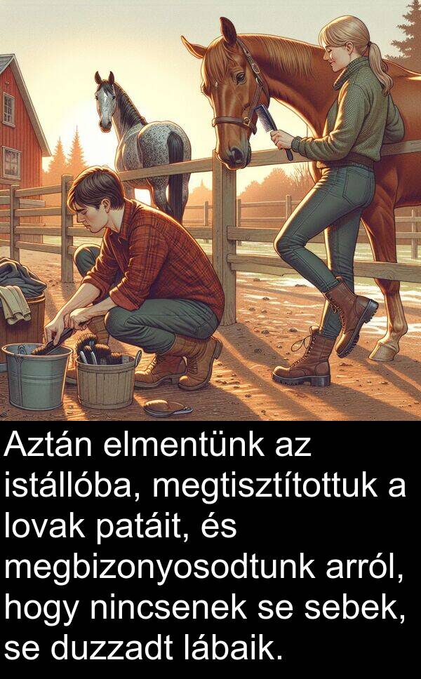 sebek: Aztán elmentünk az istállóba, megtisztítottuk a lovak patáit, és megbizonyosodtunk arról, hogy nincsenek se sebek, se duzzadt lábaik.