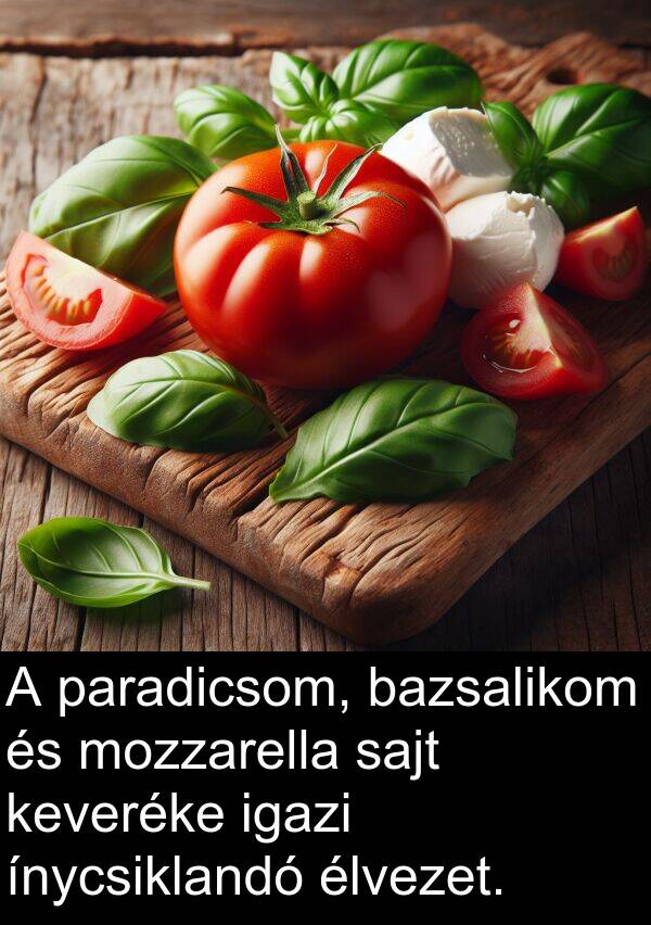 paradicsom: A paradicsom, bazsalikom és mozzarella sajt keveréke igazi ínycsiklandó élvezet.