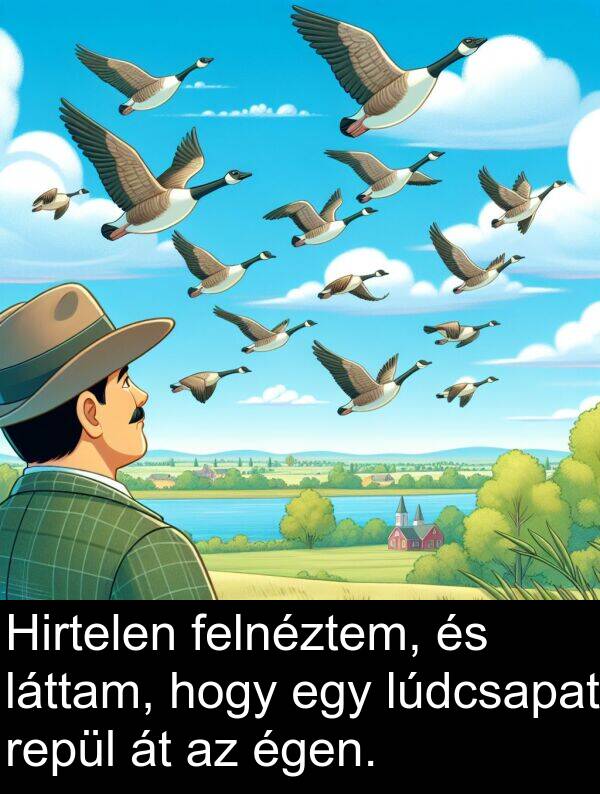 repül: Hirtelen felnéztem, és láttam, hogy egy lúdcsapat repül át az égen.