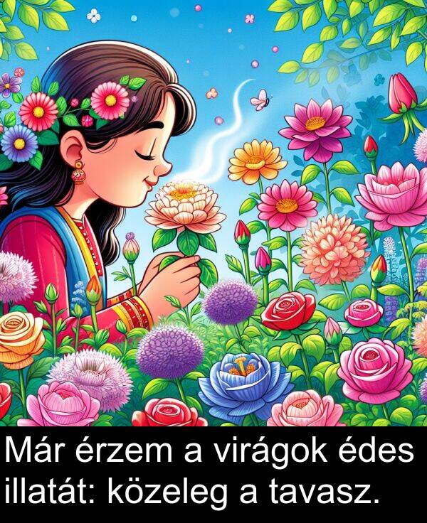 tavasz: Már érzem a virágok édes illatát: közeleg a tavasz.