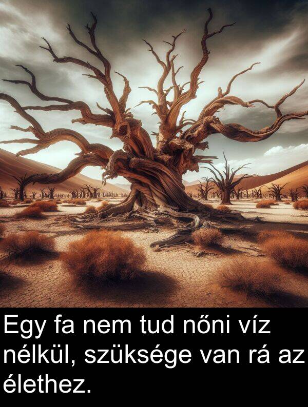 víz: Egy fa nem tud nőni víz nélkül, szüksége van rá az élethez.