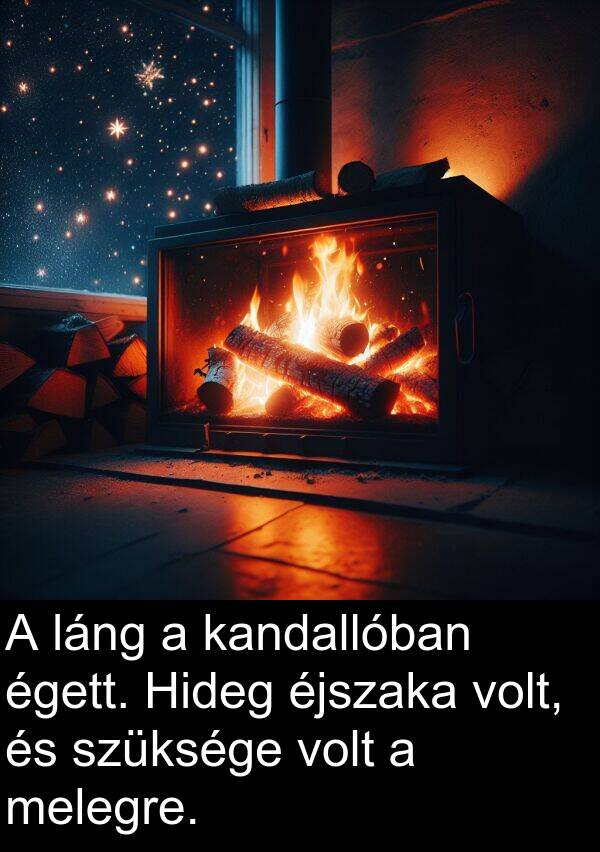 szüksége: A láng a kandallóban égett. Hideg éjszaka volt, és szüksége volt a melegre.