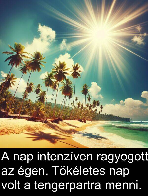 ragyogott: A nap intenzíven ragyogott az égen. Tökéletes nap volt a tengerpartra menni.